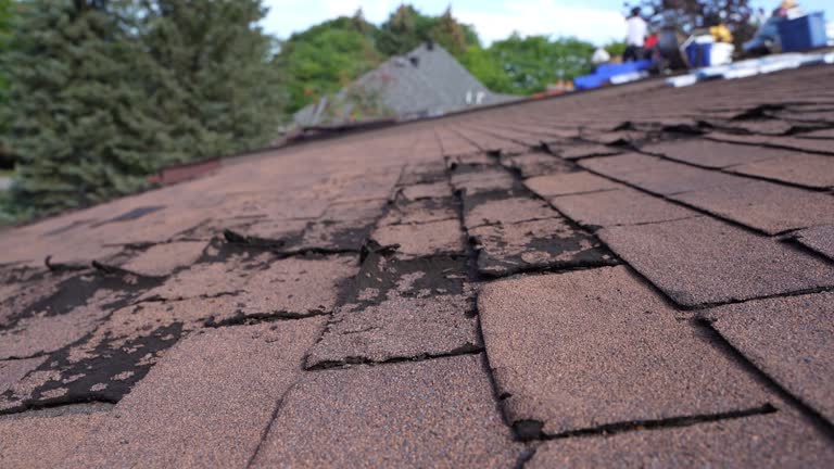 Best Wood Shake Roofing  in Lakehills, TX